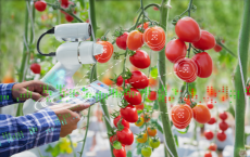 Agrarisch en agro gerelateerd